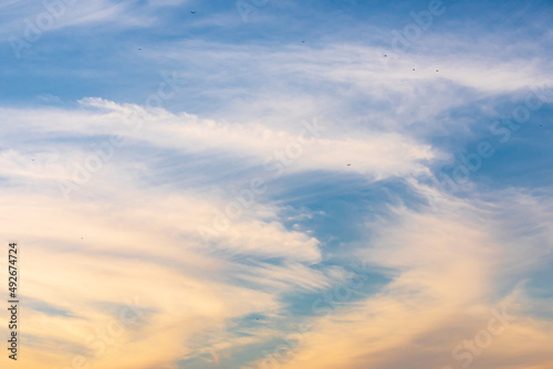 Fototapeta Naklejka Na Ścianę i Meble -  Large birds below high clouds in blue sky over the desert.