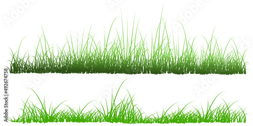 grass silhouette, dry grass vector