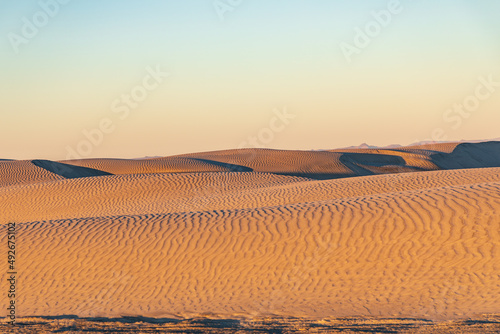 Sand dunes at sunset along the western coast of the Baja peninsula.