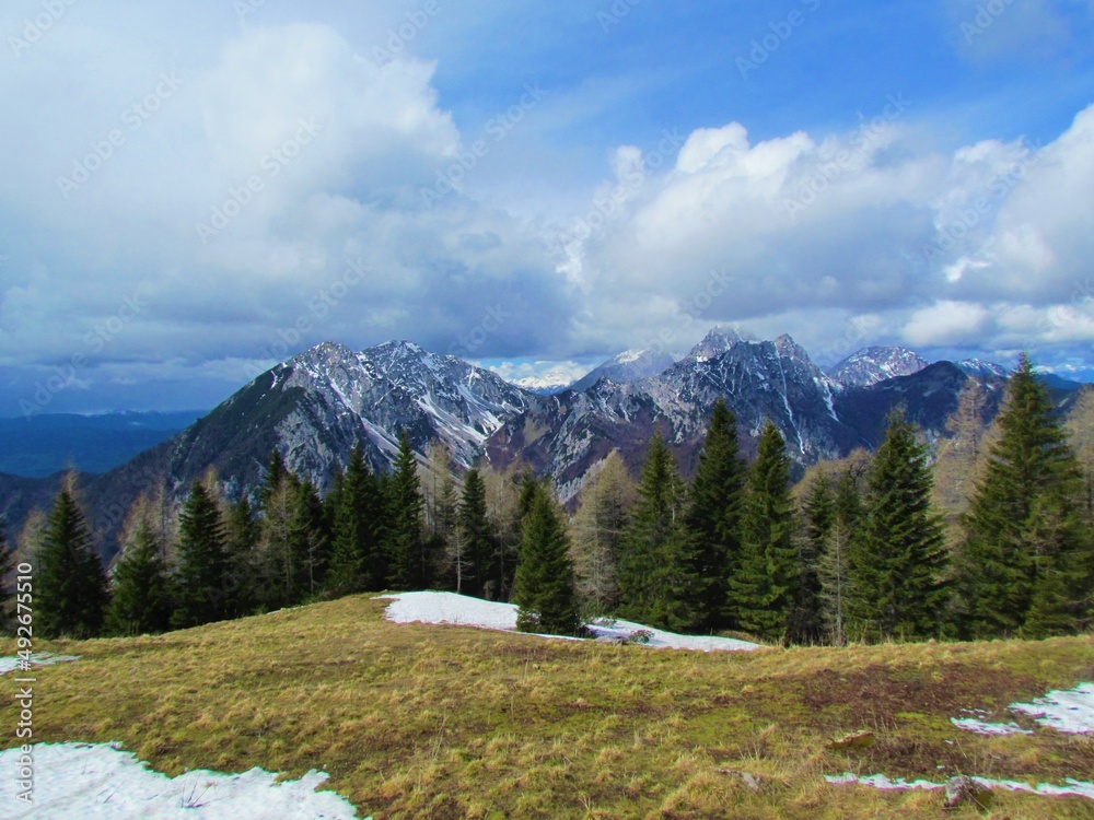 View of mountains Begunjscica and Vrtaca in Karavanke mountains, Slovenia with a meadow covered in dry grass and snow in front and a spuce forest behind