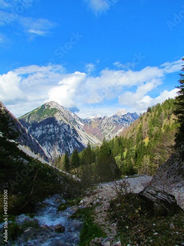 View of mountains Begunjscica and Vrta  a in Karavanke mountains  Slovenia taken from bellow Planina Korosica and a mountain stream in front