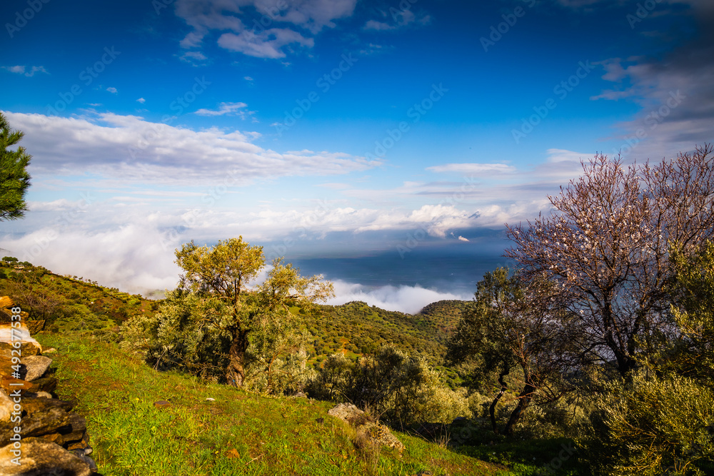 landscape in the mountains