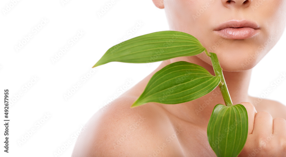 Fresh and flawless. A cropped image of a woman holding green leaves up to her face. Fresh and flawless. A cropped image of a woman holding green leaves up to her face.