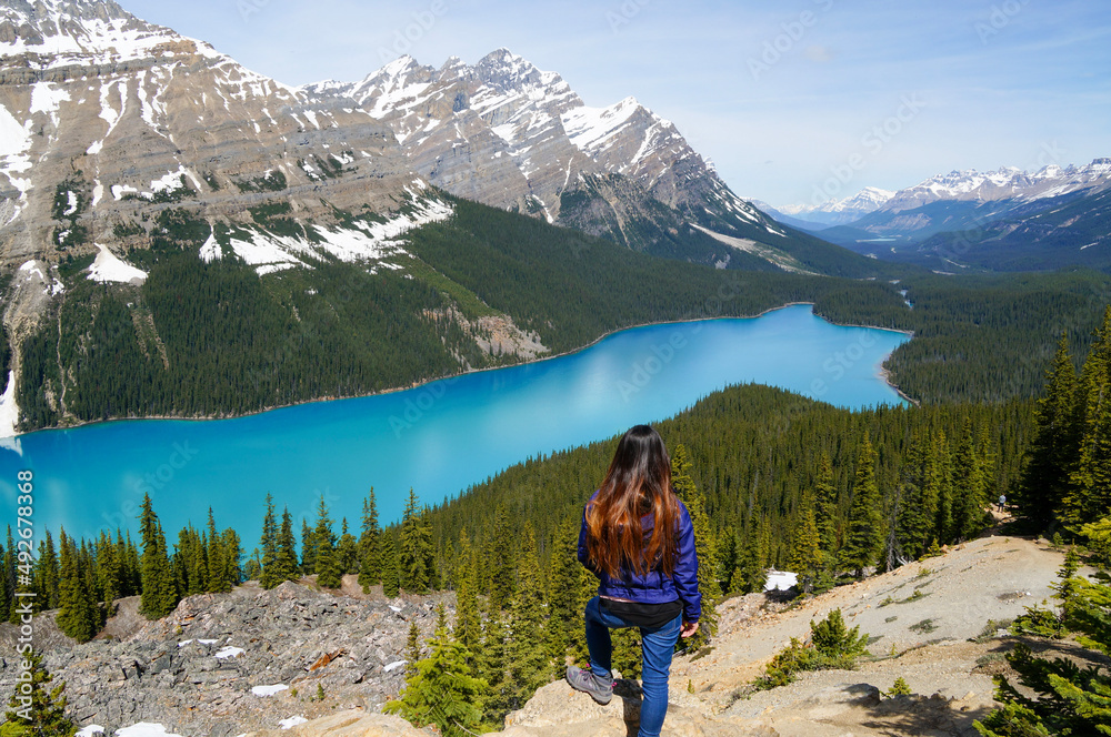 Naklejka premium Peyto lake