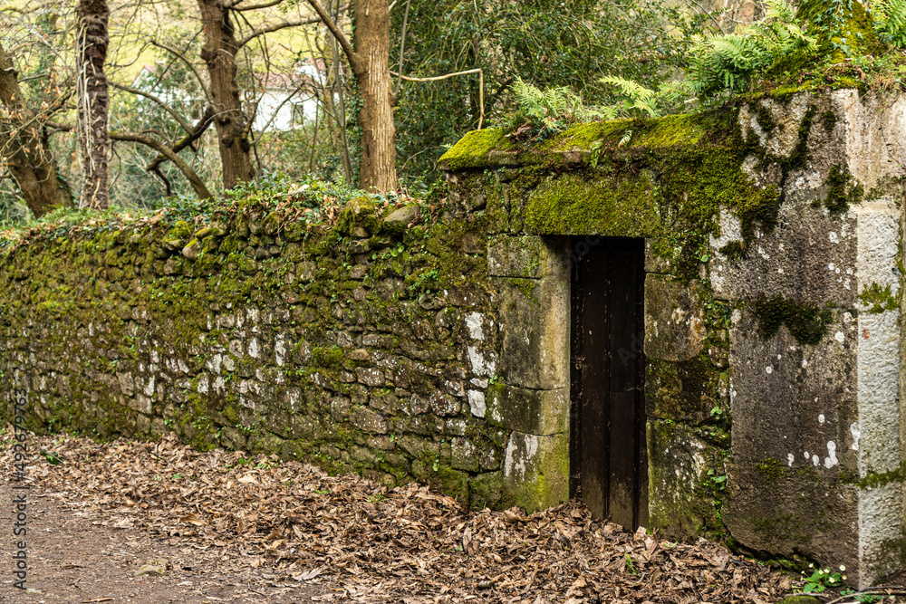 View of an old stone wall covered with green vegetation. Rustic stone facade. View of an old stone wall covered with green vegetation. Rustic stone facade.