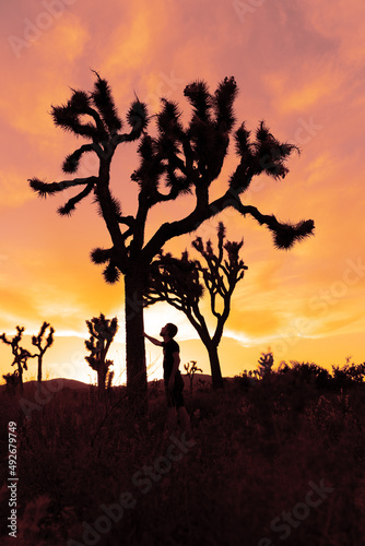 Woman silhouette in Joshua Tree National Park in a summer day with sun backlight. Western still life with amazing cactus. 