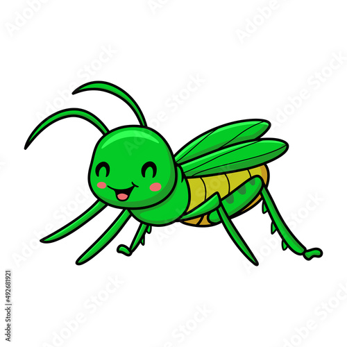Cute little mantis cartoon character