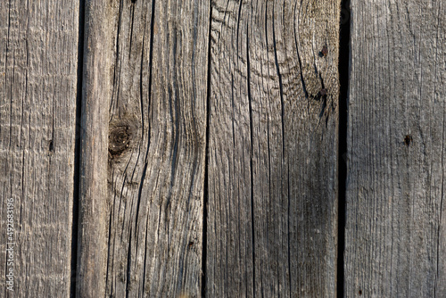 Old wood plank with nails and knots texture background in the midday sun, close-up view