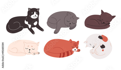 Multi-colored cats of different breeds lie resting. Tired charming kittens are sleeping. Cute animals drawn in a flat style. Colored vector illustration, doodle set isolated on white background