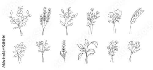 Wild Flowers botany set. Hand drawn one line flowers and leaves sketches.