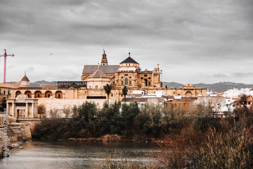 Fototapeta premium Exterior view and decorative detail from the magnificent Mosque of Cordoba