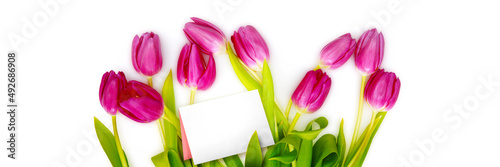 Fototapeta Naklejka Na Ścianę i Meble -  Beautiful tulips. Spring nature background for web banner and card design.