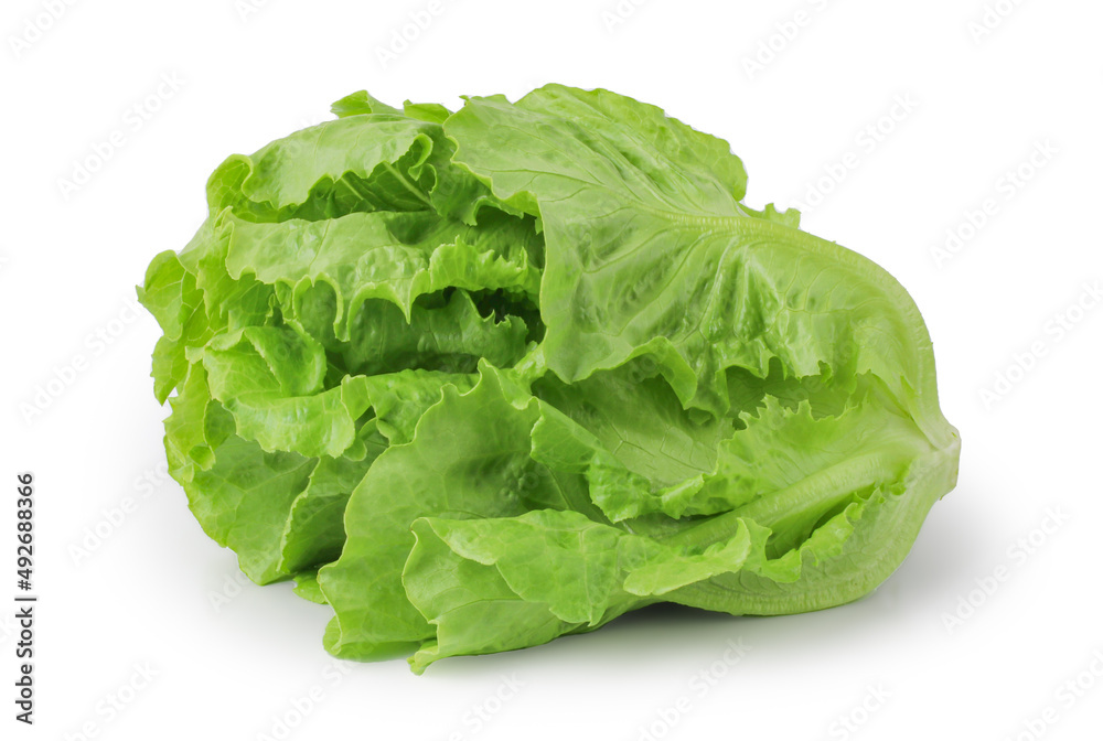 fresh green lettuce salad leaves isolated on white background, clipping path, full depth of field fresh green lettuce salad leaves isolated on white background, clipping path, full depth of field