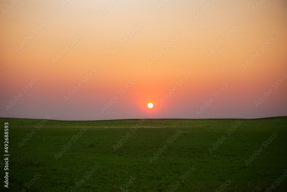 A round sun setting over a green field in a sunset agricultural summer landscape
