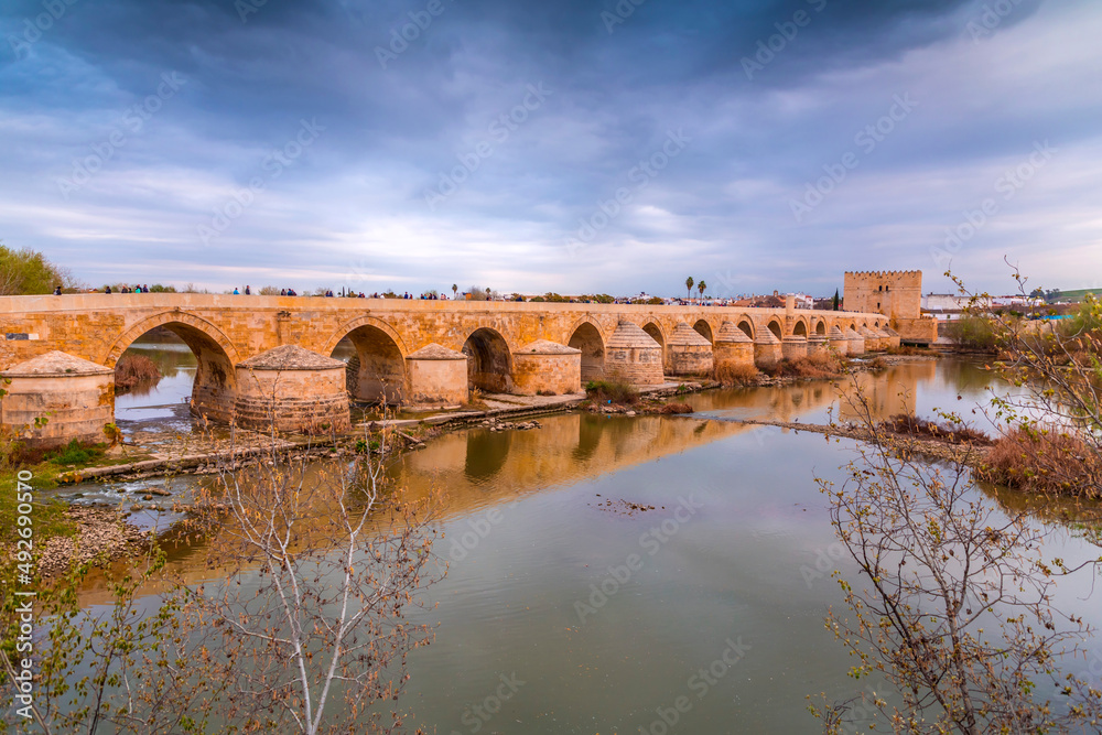 Fototapeta premium The Roman Bridge and the Calahorra Tower in Cordoba, Spain