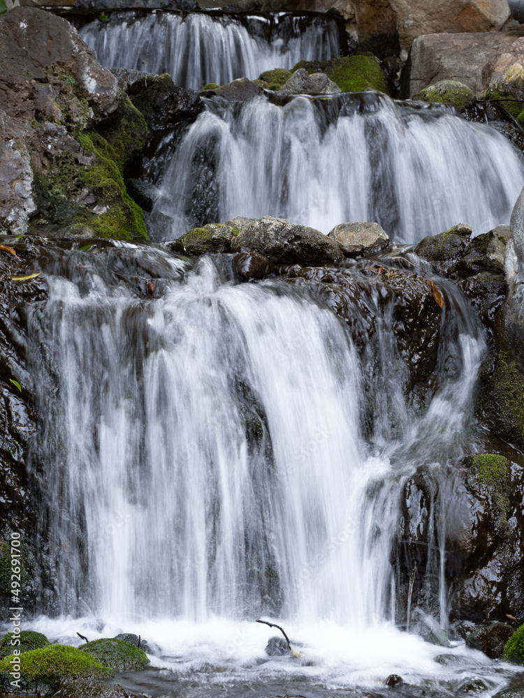 Fototapeta premium 日本庭園の滝