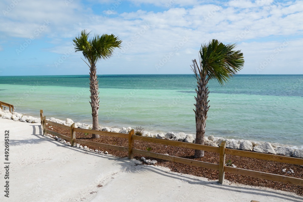Palm trees overlooking the beautiful blue ocean at Bahia Honda State Park, Big Pine Key, Florida