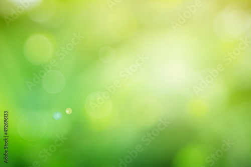 Natural spring blurred green leaves background. Create light soft blurred colors in bright sunshine.