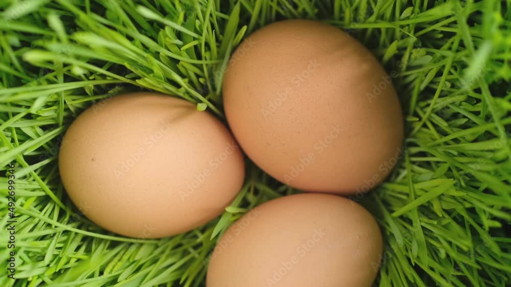 Chicken egg, rotation shot, Chicken fresh raw eggs.Healthy fresh food ingredients for breakfast. Animal products. Grocery. Chicken farm fresh eggs Chicken egg, rotation shot, Chicken fresh raw eggs.Healthy fresh food ingredients for breakfast. Animal products. Grocery. Chicken farm fresh eggs
