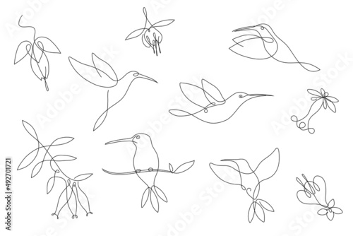 Set of hummingbird designs with flowers in one continuous line for logo and graphic design. Small beautiful shearling bird. isolated on white background. Vector illustration