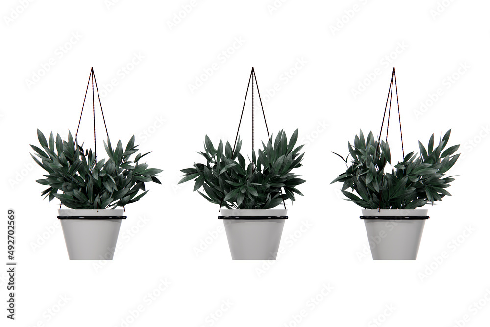 Fototapeta premium Hanging pot flower 3d rendering