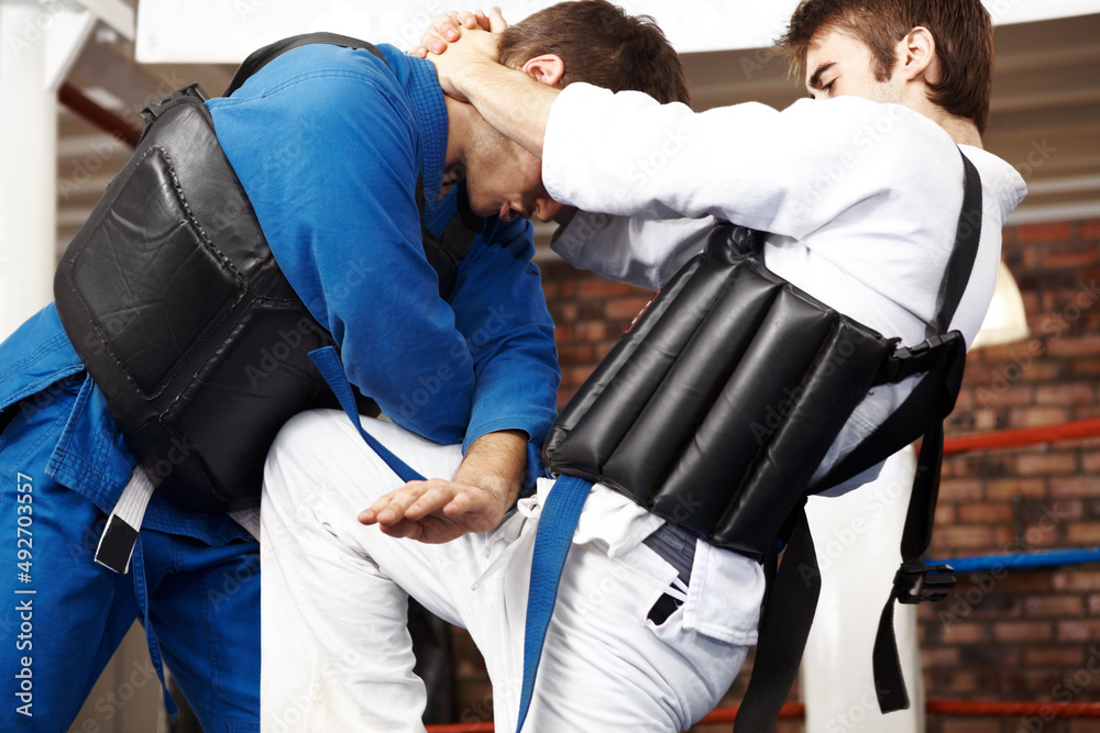 Obraz premium Blocking the blow. Cropped shot of two martial artists sparring in the ring.