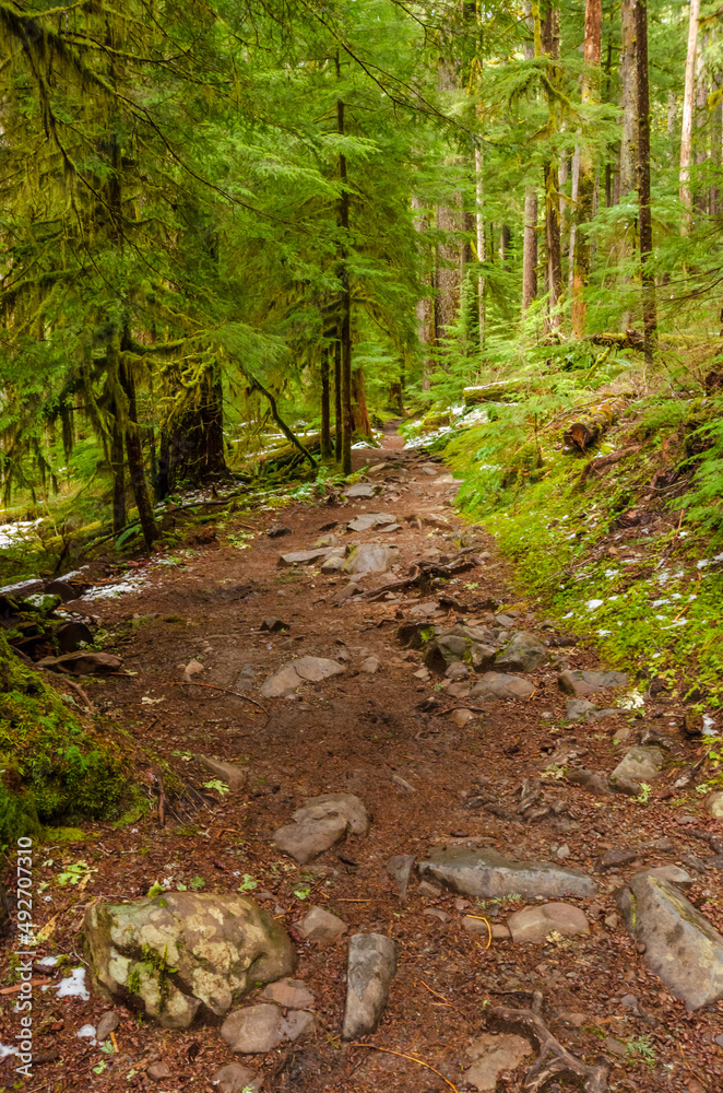 View at Trail in Park with Small Bridge and Creek in Vancouver, Canada.