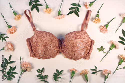 Beautiful lace beige bra surrounded by  flower frame, white background, top view. Stylish lingerie, underwear.