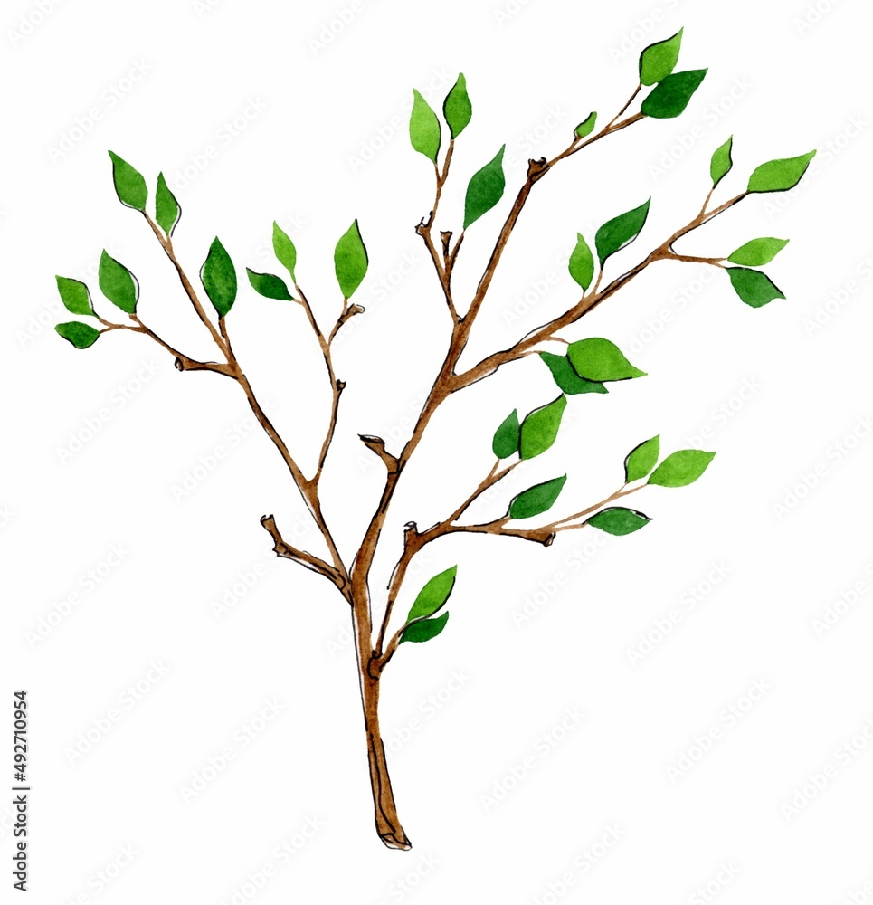 Obraz premium Hand drawn tree branches. Watercolor sketch greenery. Botanical illustrations. Floral set design for wedding cards and invitations, mothers day and birthday card. Isolated on white background