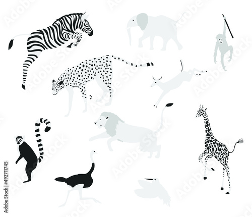 Animals set of custom vector art illustration design template photo