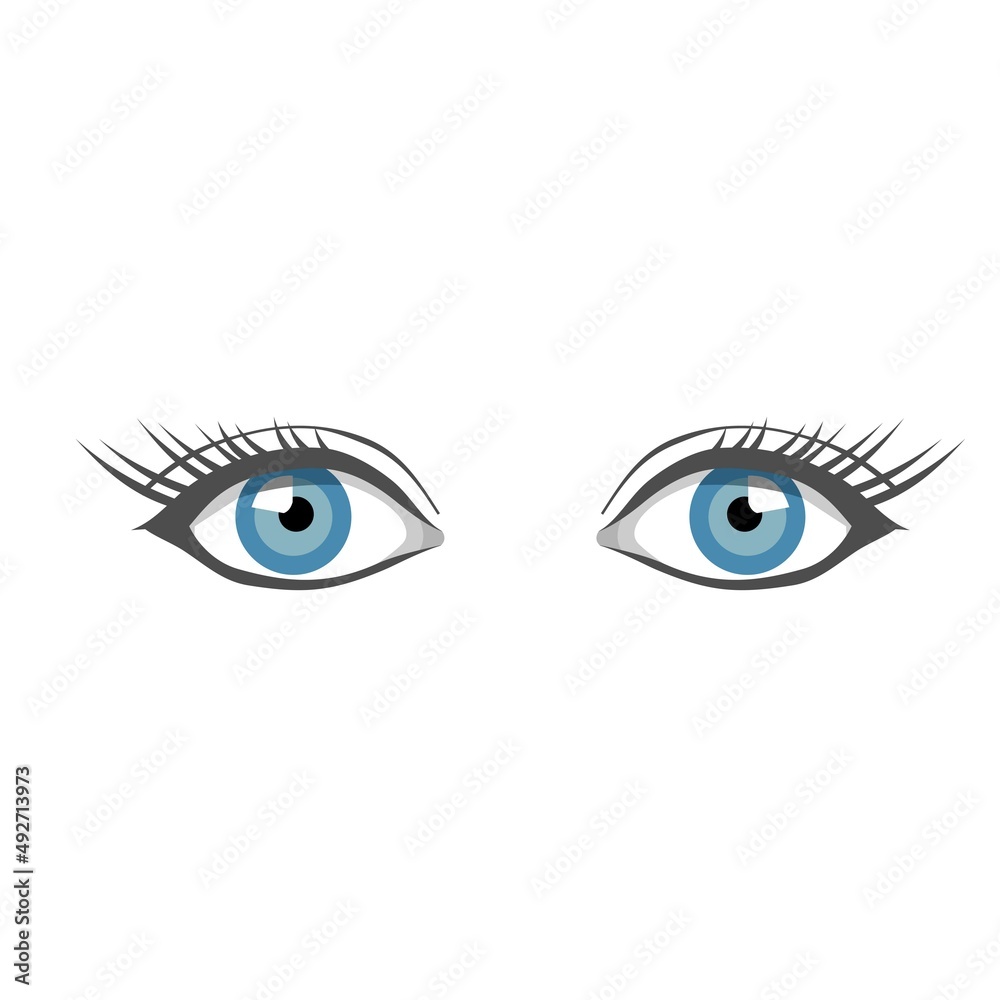 pair of female eyes vector design