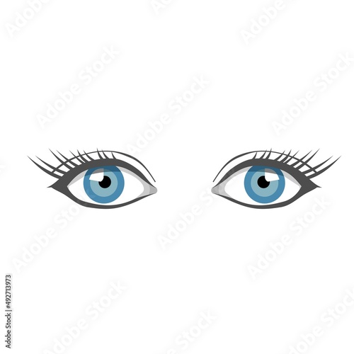 pair of female eyes vector design