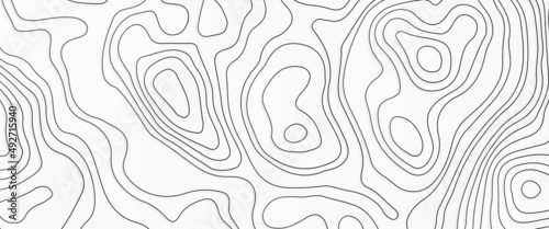 White wave paper curved reliefs abstract background, topographic line contour map background, 3D waves, geographic grid map, vintage outdoors style, vector stock illustration. 