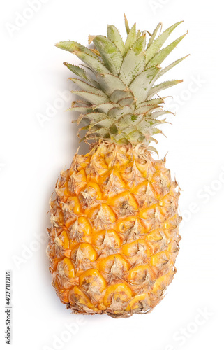 fresh pineapple fruit isolated