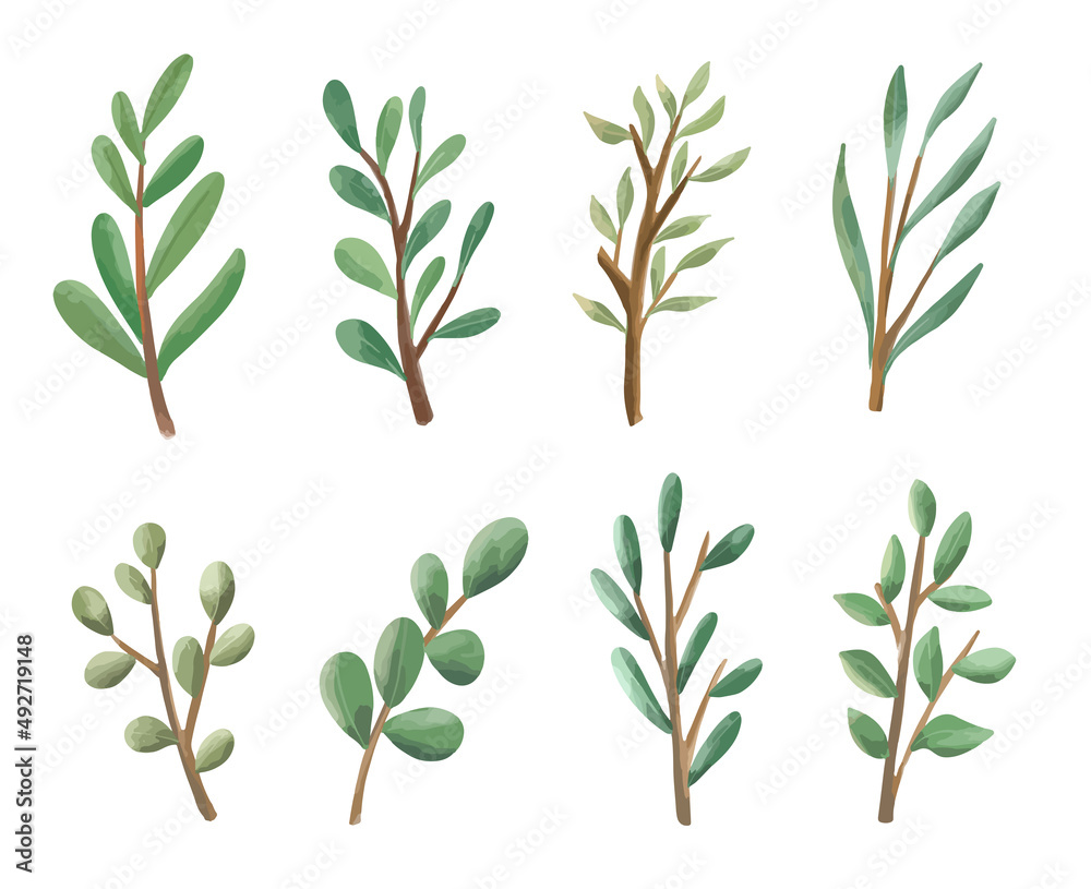 Leaves watercolor set clip art. Branches and leaf greenery illustration element collection drawing Leaves watercolor set clip art. Branches and leaf greenery illustration element collection drawing