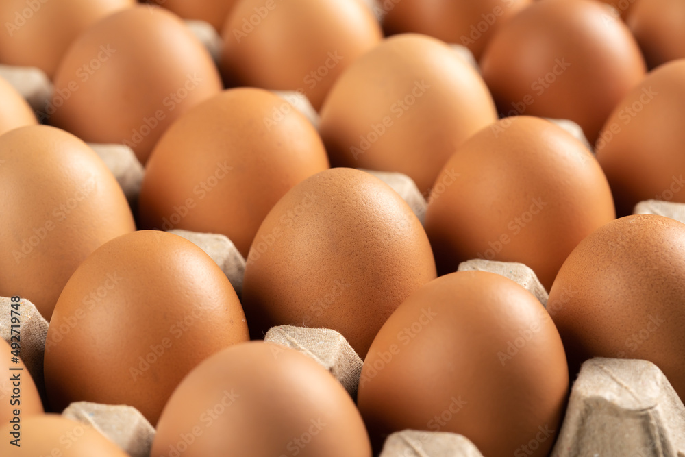chicken eggs in cardboard