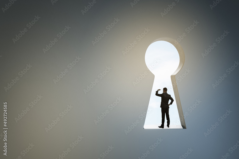 Back view of business man standing in abstract key hole opening in concrete wall with mock up place. Solution and success concept. Back view of business man standing in abstract key hole opening in concrete wall with mock up place. Solution and success concept.