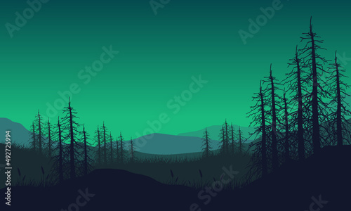 Realistic view of mountains from outside the city with the silhouette of dry tree branches around it © City