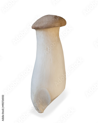 King trumpet mushroom isolated on white background. Healthy plant based food diet lifestyle.