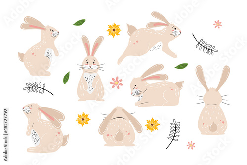 Cute little bunny collection. Little rabbit enjoying the nature.