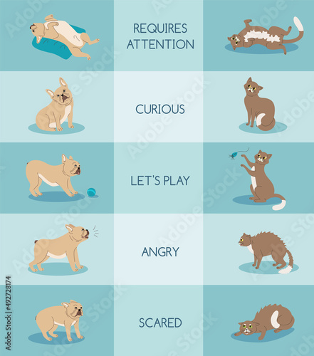 Pets Body Language Composition