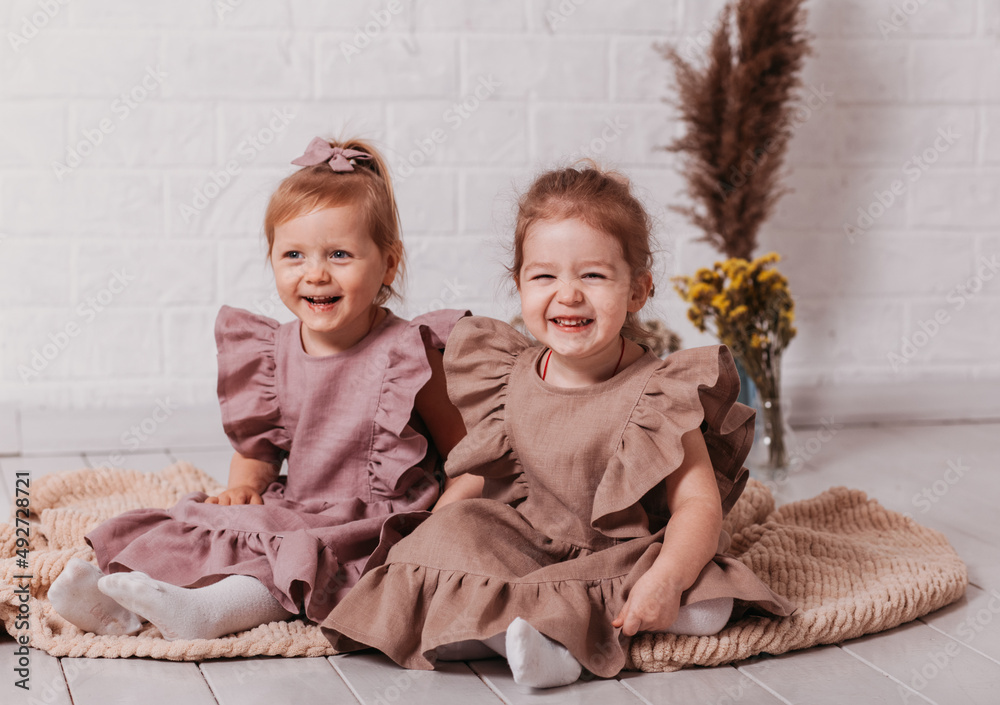 two little girls in beautifull dresses at the studio with flowers two little girls in beautifull dresses at the studio with flowers