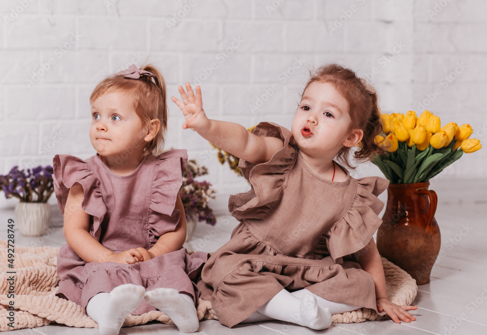two little girls in beautifull dresses at the studio with flowers two little girls in beautifull dresses at the studio with flowers
