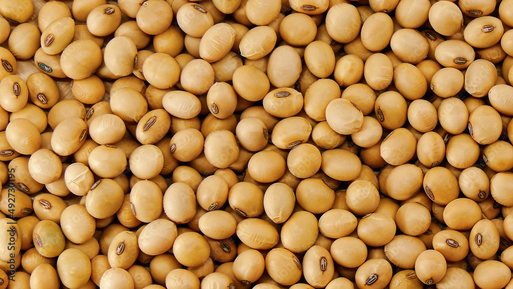 Raw soy bean seed food organic top view texture ,High in fiber, Helps prevent cancer, supplementary food, Protein healthy food Raw soy bean seed food organic top view texture ,High in fiber, Helps prevent cancer, supplementary food, Protein healthy food