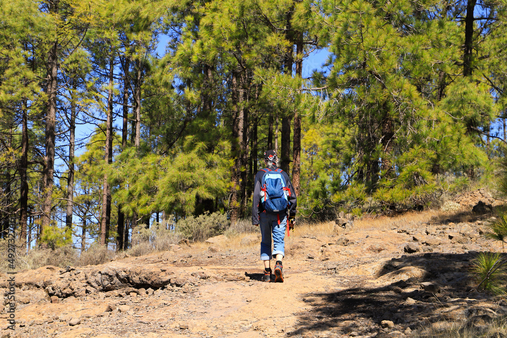 Hiking on the circular hiking trail Hiking on the circular hiking trail