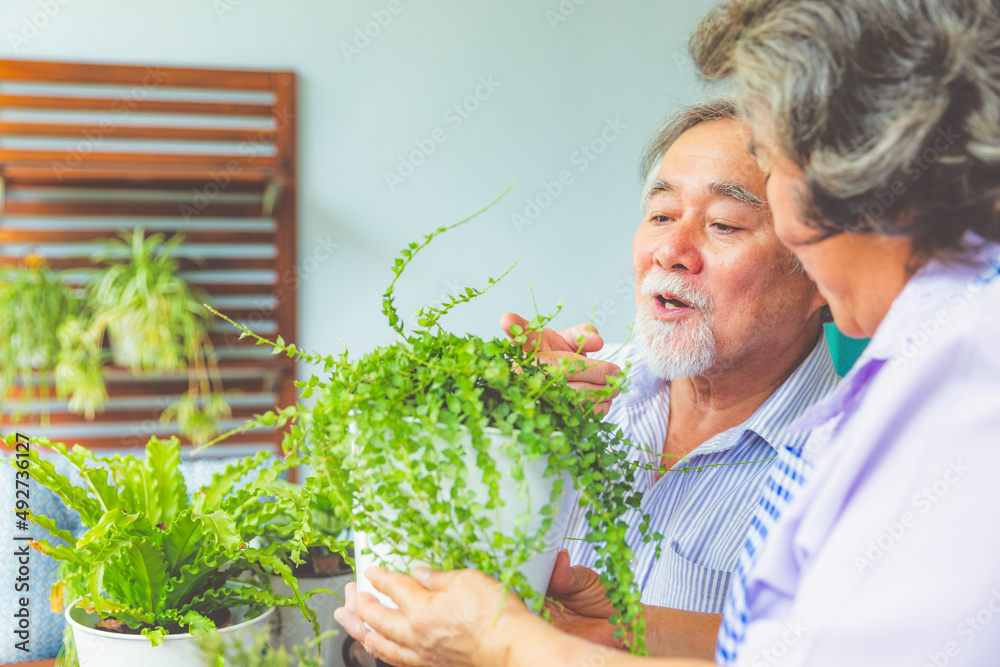 Obraz premium Happy asian elderly couple smiling health care and have a happy life after retirement stay home and plant trees in pots.