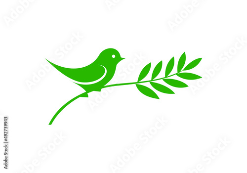 this is a creative bird logo design