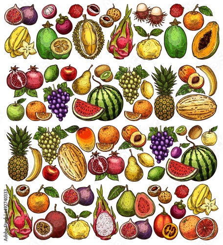 Farm and garden fruits sketch background  vector hand drawn food. Sketch apple  pineapple and orange  tropical papaya  exotic banana  mango and pear  peach with watermelon  grape and melon harvest