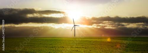 Einzelnes Windrad auf einem grünen Feld