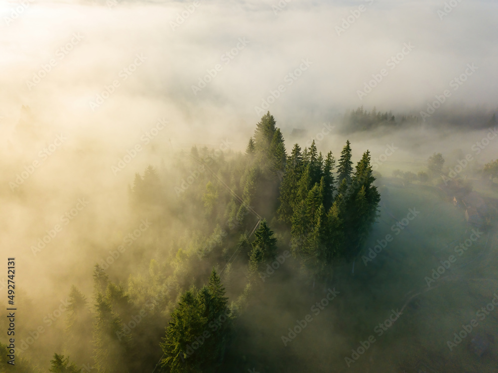 Foggy summer morning in the Ukrainian Carpathians. Aerial drone view.